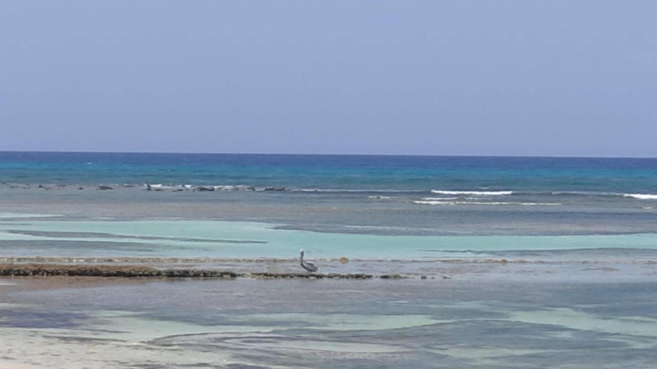Appartement Nid Tropical Pour Deux