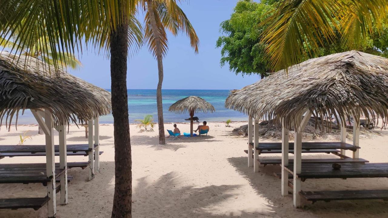 Nid Tropical Pour Deux Appartement